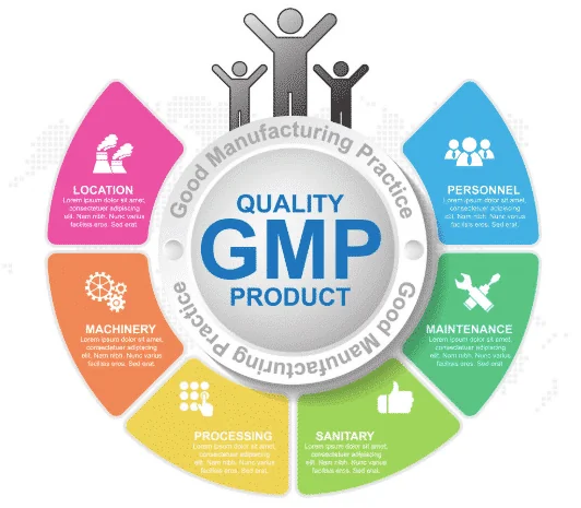 GMP Quality Standards Infographic